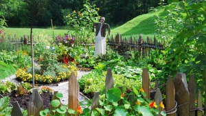 Monsoon Magic: Why the Rainy Season is the Perfect Time to Plant Your Kitchen Garden