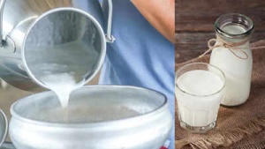 Raw Milk Warning: Serious Health Risks, Bacterial Infections Outweigh Purported Benefits