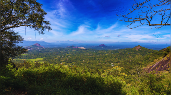 The scenic yet haunted Lakkidi Gateway in Wayanad, Kerala.