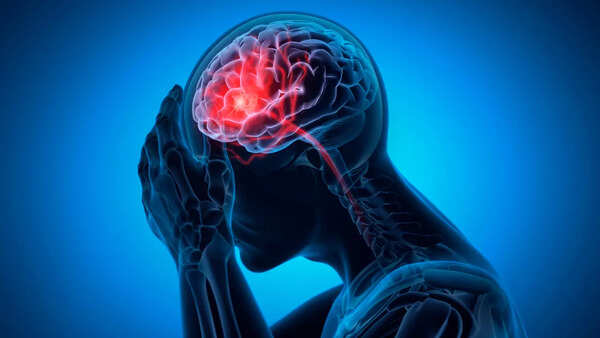 Close-up of brain scans