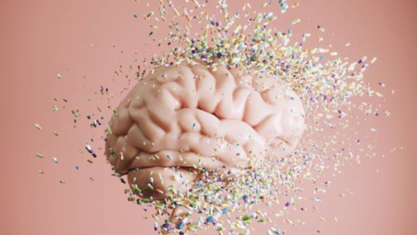 Illustration of the human brain