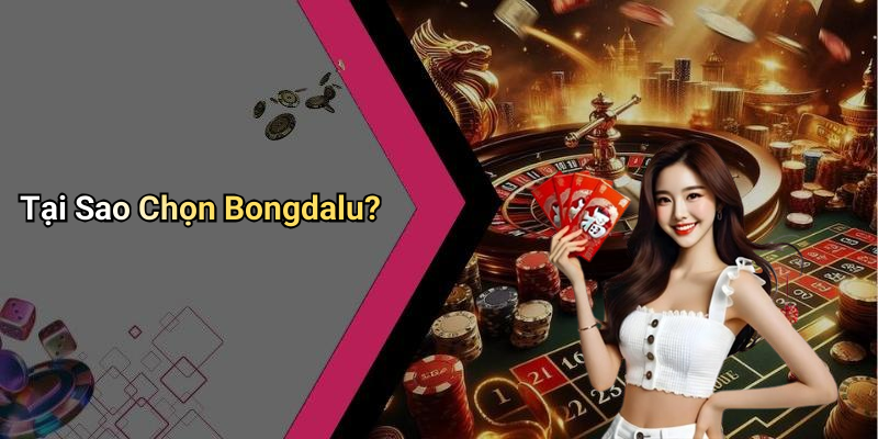 Tại Sao Chọn Bongdalu?