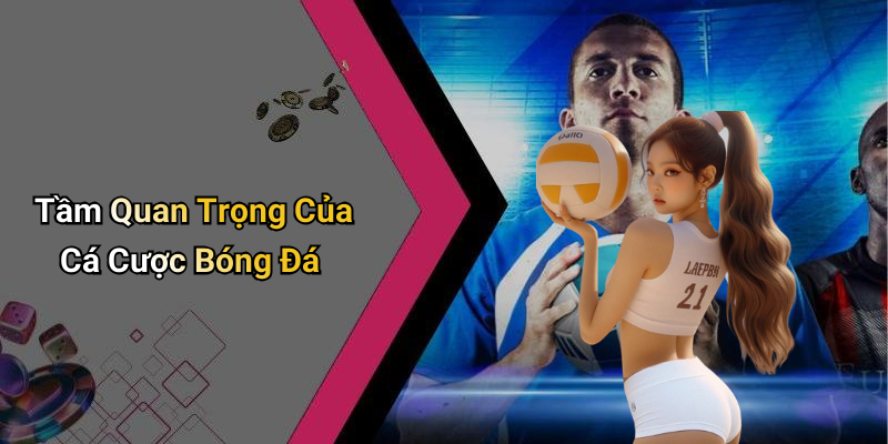 Tầm Quan Trọng Của Cá Cược Bóng Đá