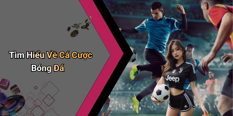 Tìm Hiểu Về Cá Cược Bóng Đá