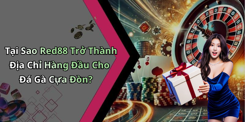 Tại Sao Red88 Trở Thành Địa Chỉ Hàng Đầu Cho Đá Gà Cựa Đòn?