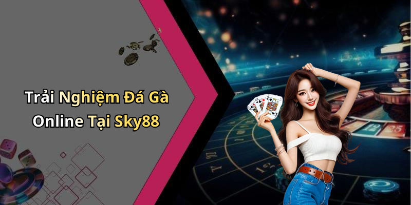 Trải Nghiệm Đá Gà Online Tại Sky88