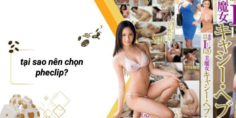 Tại Sao Nên Chọn PHECLIP?