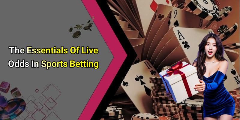 The Essentials Of Live Odds In Sports Betting
