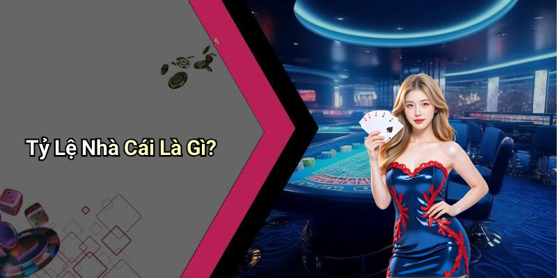Tỷ Lệ Nhà Cái Là Gì?