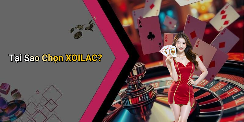 Tại Sao Chọn XOILAC?