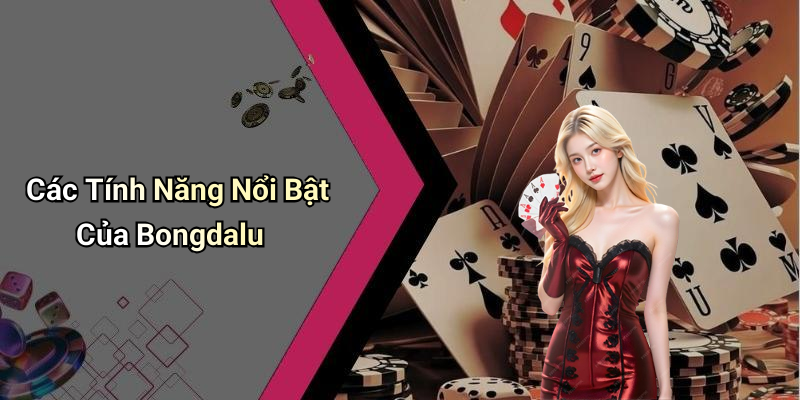 Các Tính Năng Nổi Bật Của Bongdalu