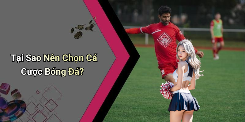 Tại Sao Nên Chọn Cá Cược Bóng Đá?