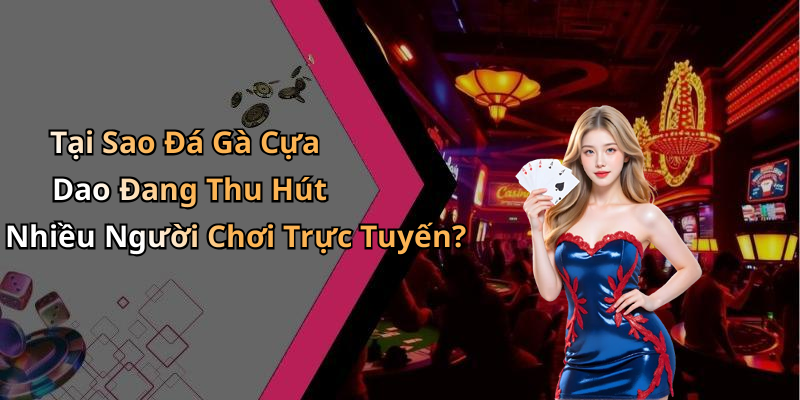 Tại Sao Đá Gà Cựa Dao Đang Thu Hút Nhiều Người Chơi Trực Tuyến?