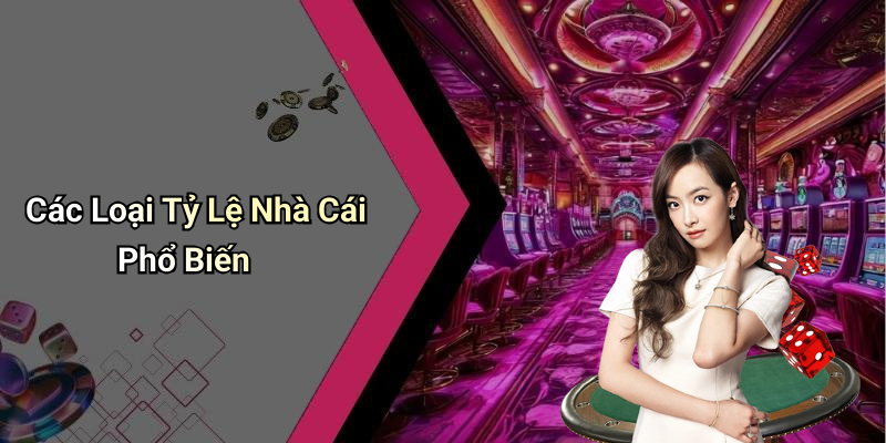 Các Loại Tỷ Lệ Nhà Cái Phổ Biến