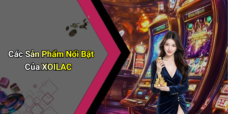 Các Sản Phẩm Nổi Bật Của XOILAC