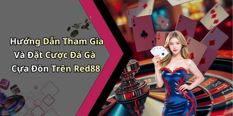 Hướng Dẫn Tham Gia Và Đặt Cược Đá Gà Cựa Đòn Trên Red88