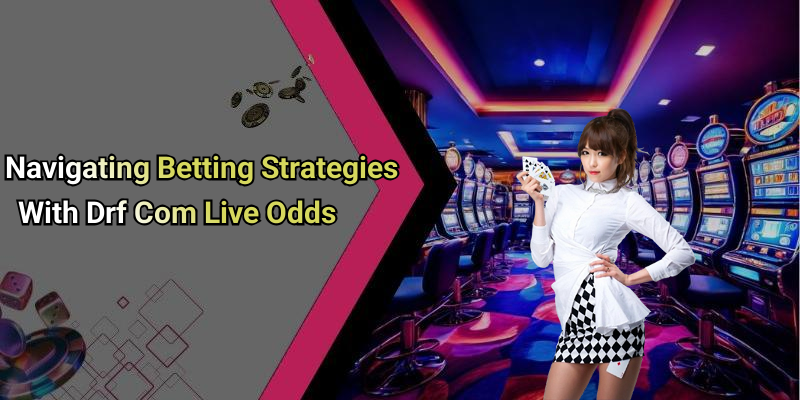 Navigating Betting Strategies With Drf Com Live Odds