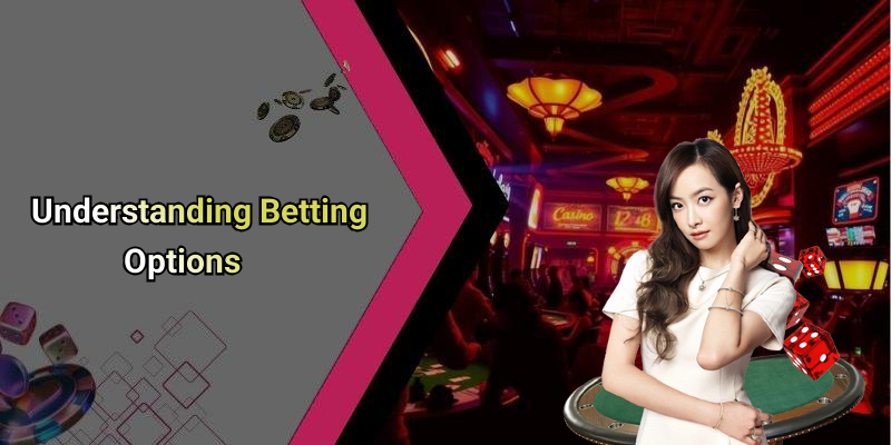 Understanding Betting Options