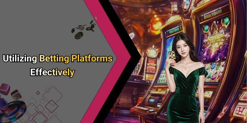 Utilizing Betting Platforms Effectively