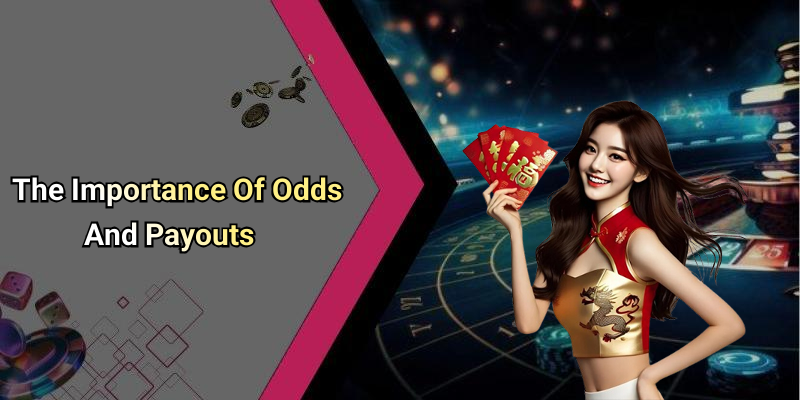 The Importance Of Odds And Payouts